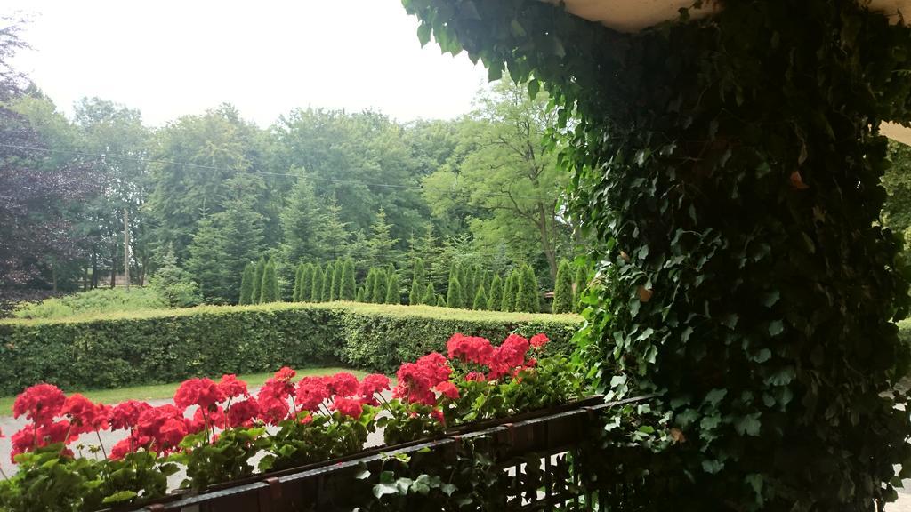 Zamek Nowecin Hotel Łeba Kültér fotó